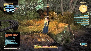 FINAL FANTASY XIV A Ghost Sighting