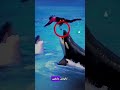 Video Of Trainer Jessica With An Orca Whale 