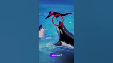 فيديو المدربة جيسيكا مع حوت الاوركا 