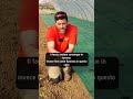 Come trapiantare gli ortaggi dell'#orto:  #mattthefarmer #trapianto #trapiantatrice