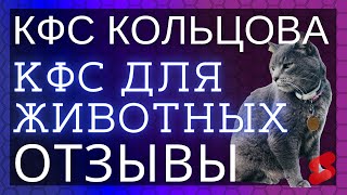 🔥Кот Барсик 5 лет + пчелы ▫️ Отзывы о КФС Кольцова ▫️ КФС для животных