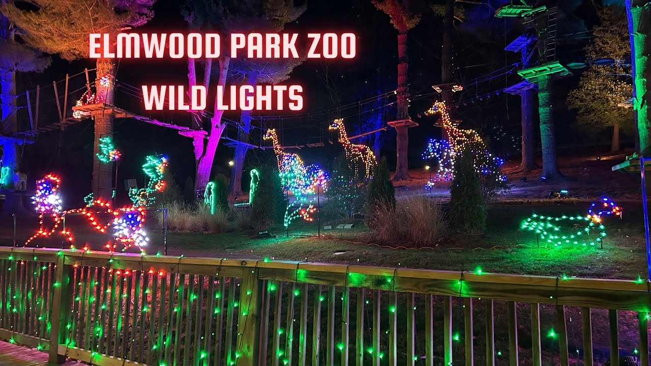 クリスマスセール‼️道楽　DOWLUCK ウッドワーム　ナチュレ　夜光 Elmwood Park Zoo Wild Lights - Northeast Allie