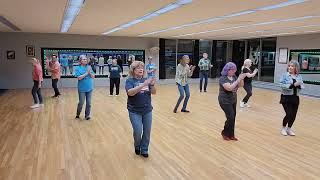 (I Saw) The Neon Light line dance demo