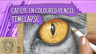 Cat Eye 4 - Timelapse