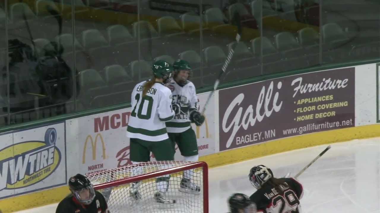 bemidji-state-women-s-hockey-standings-lakeland-news-sports