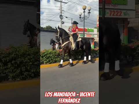 los mandados -