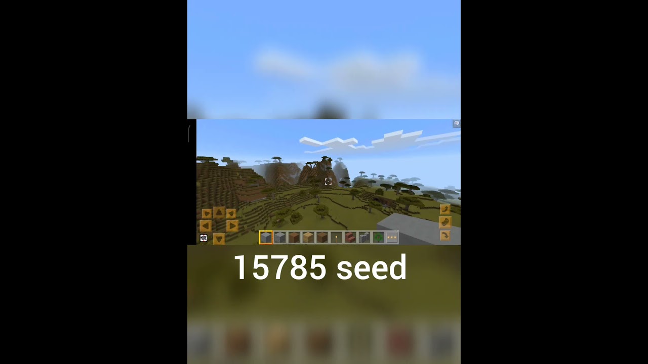 huge village acacia seed 