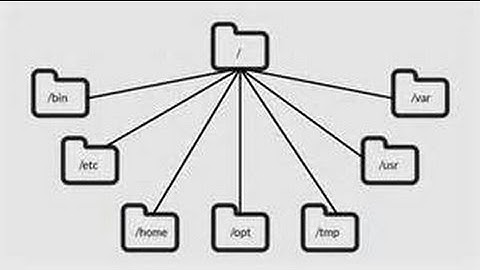 Learning the Linux File System