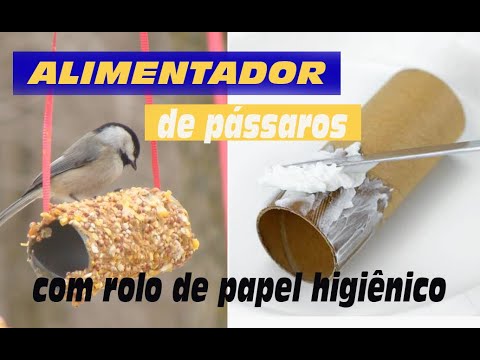 Vídeo: Como Fazer Um Alimentador De Pássaros De Papel