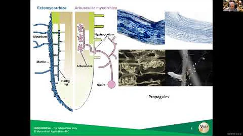 Defining Soil Health: Part 3