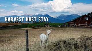 Harvest Host stay at an alpaca farm in Montana