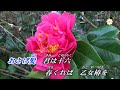 夕笛   (RA) ♫オリジナル歌手: 船村徹    ♪カバ-アメキリ歌詞付き