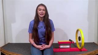 2018 Winner - Rubber Band Contest - Science & Engineering - Rachel Pizzolato