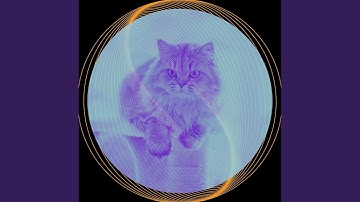 Retro Backdrops for Lazy Cat Days