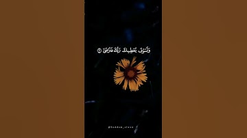 الشيخ ماهر المعيقلي سورة الضحى #ستوريات #قران_كريم #quran