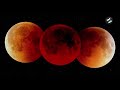 Eclipse lunar: cómo impactará la luna de sangre en nuestro ánimo