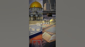 ﴿ فَتَبَسَّمَ ضَاحِكٗا مِّن قَوۡلِهَا ﴾ سورة النمل | القارئ بلال دربالي