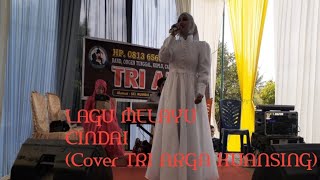 Lagu Melayu// CINDAI (Cover Orgen Tunggal TRI ARGA KUANSING)