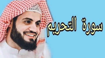 رعد محمد الكردي سورة التحريم