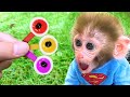 Monkey baby bon bon and puppy eat eyeballs and harvest fruit in the garden