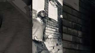 Imithandazo Acapella voiceeffects  duet