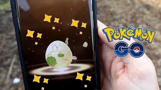 CONSIGO EL SHINY BABY MÁS EXCLUSIVO Y MUCHO MÁS! [Pokémon GO-davidpetit]