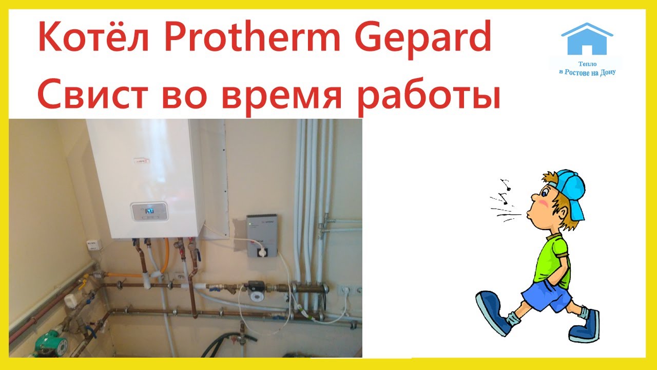 Газовый котел Протерм Гепард свистит во время работы. Protherm Gepard ...