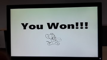 IIITD DHD 2019 Group 15-Grab The Cheese Game using Basys 3 FPGA