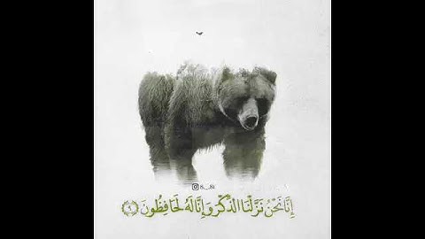 حالات واتساب دينية القارئ هزاع البلوشي || إنا نحن نزلنا الذكر وإنا  لهو لحافظون