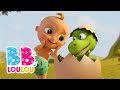 Bébé et Zigalou, Zigalou 💙 Chansons pour enfants |  BB LouLou