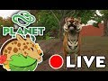 Birth of a TIGER Cub!! 🐯 Eye of the Tiger Special! • Daily Planet Zoo Day 4
