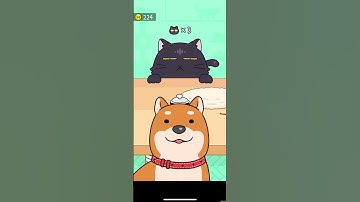 Hide and Seek cat Escape #10| #shorts