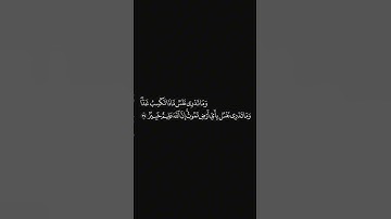 الشيخ #اسلام_صبحي #سورة_لقمان