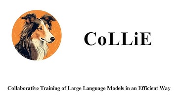 EMNLP 2023 Demo | CoLLiE: Collaborative Training of Large Language Models in an Efficient Way