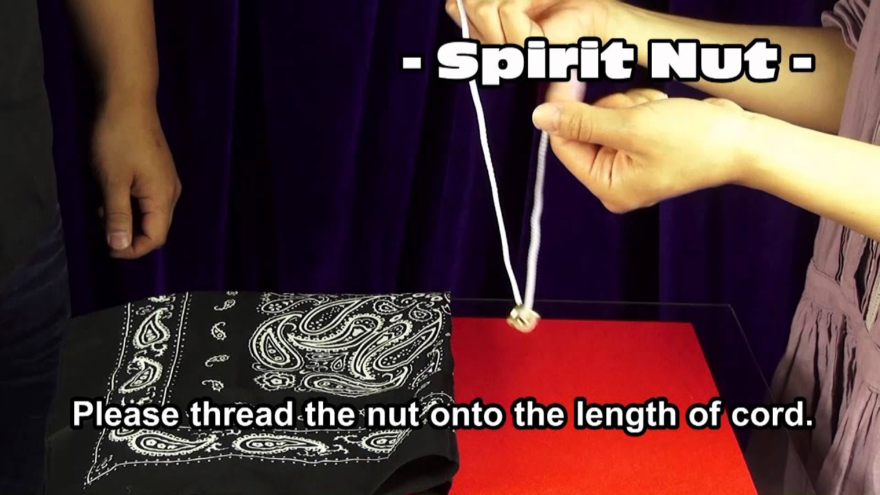 Spirit Nut by Viking Magic / SEO MAGIC