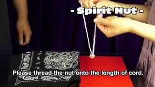 Spirit Nut by Viking Magic / SEO MAGIC