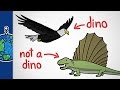 Dinosaur Classification and Ancestry