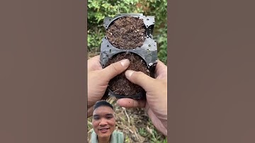 Dụng Cụ Chiết Cành Cây #farming