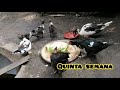 Crecimiento de patos en Semanas