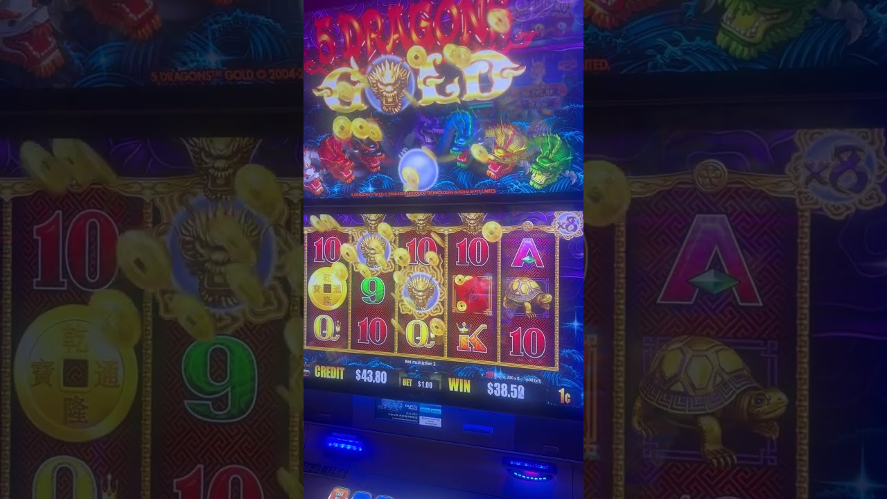 5 Dragons Bonus Video🐉🐦‍🔥🦚 