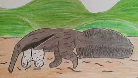 Como que se desenha um tamanduá?