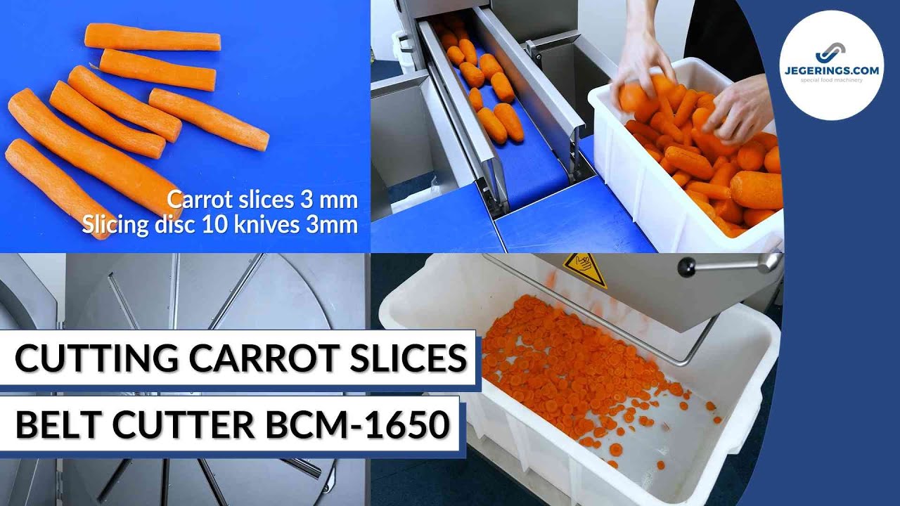 Machine Cutting Carrot Slices Vegetable Slicer BCM1650 Slices