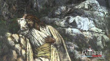 Garden of Gethsemane -- Holy Land Video