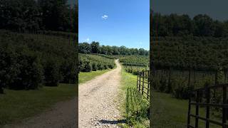 Lehman's Orchard is located at 2280 Portage Rd, Niles, MI.