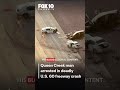 Arizona man accused of manslaughter in deadly freeway crash | FOX 10 Phoenix