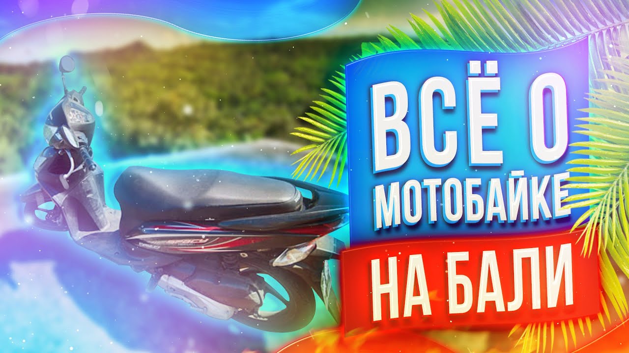 Ленивец на автомобиле