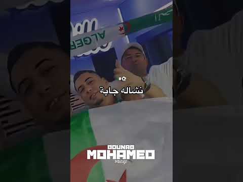 مجاجي بولبينة مهبول 