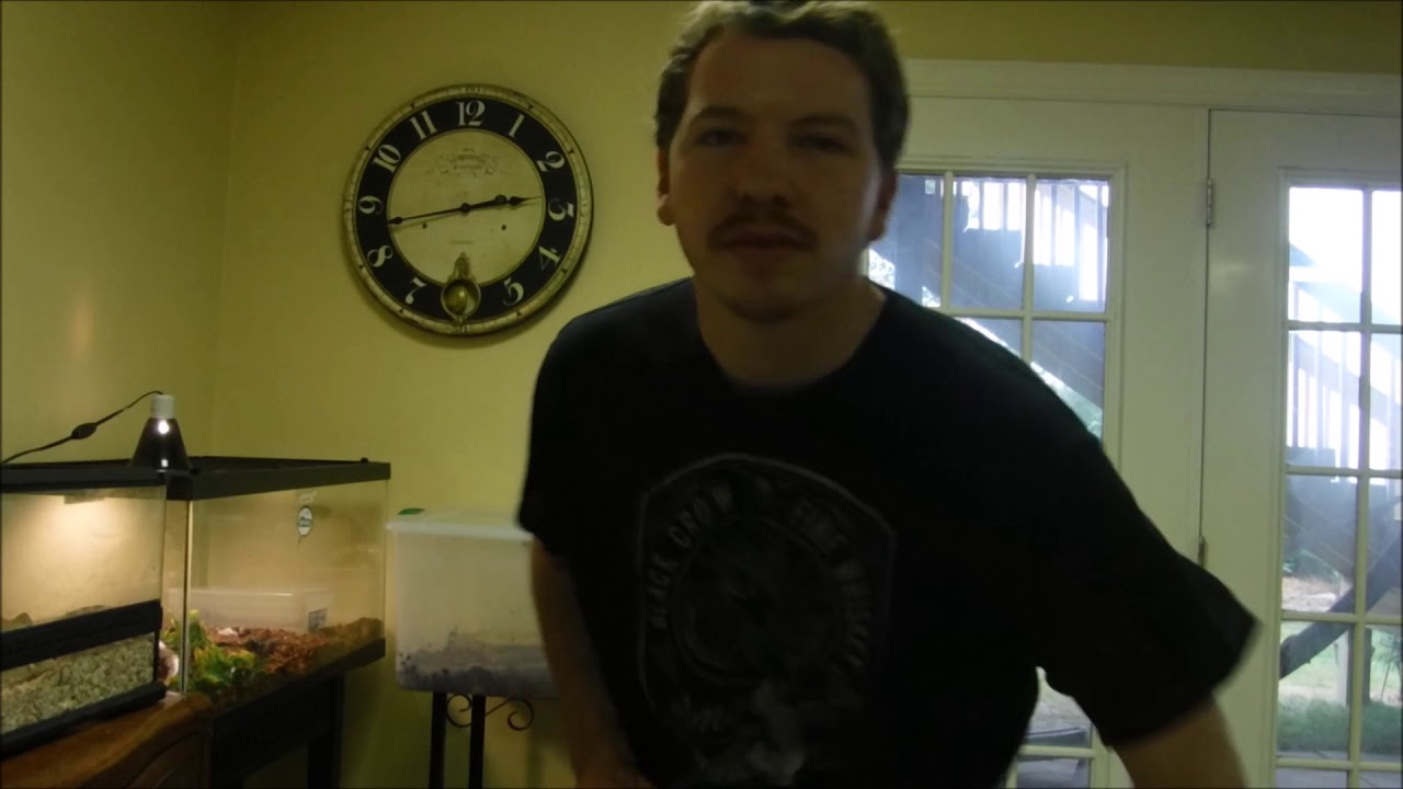 camera iphone 8 plus apk Reptile Events