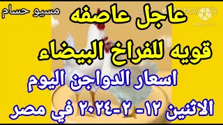 اسعار الفراخ البيضاء اليوم اسعار الدواجن اليوم الاثنين ١٢-٢-٢٠٢٤ في مصر