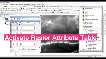 Build Raster Attribute Table to any Image in ArcGIS
